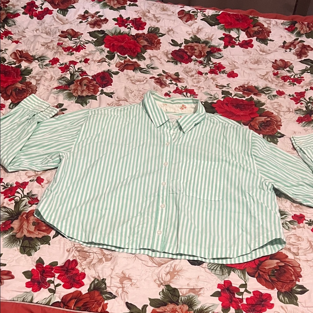 American Eagle Outfitters Mint Striped Kids Button Down Shirt